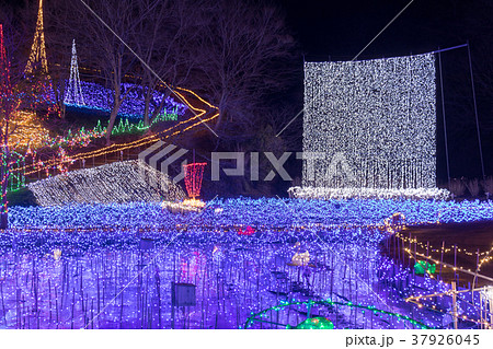 いちはらクオードの森のイルミネーション 37926045