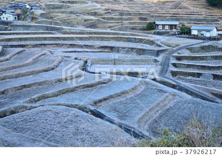 真冬の棚田 佐用町の写真素材