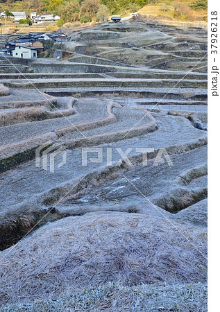 真冬の棚田　佐用町 37926218