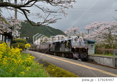 ななつ星と菜の花 37926407