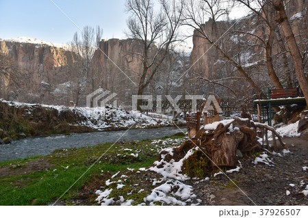 forrest in winter forrest in winter 37926507