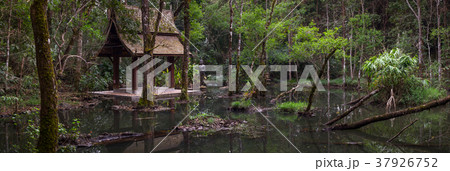 Buddha Garden and Holy Well at Doi Chang mountain Buddha Garden and Holy Well at Doi Chang mountain 37926752