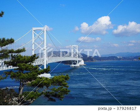 大鳴門峡 お茶園展望台から 大鳴門峡 お茶園展望台から 37926817