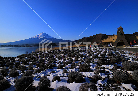 河口湖大石公園から冬の青空の富士山 2018/01/31 37927625