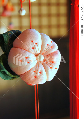 つるし飾り つるし飾り 37927851