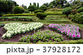 Colorful Cabbages represent the heart. 37928172