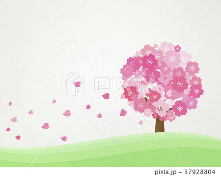 桜の木 のイラスト素材 3794