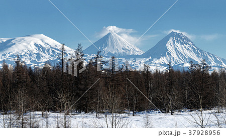 Panorama winter volcano landscape of Kamchatka Panorama winter volcano landscape of Kamchatka 37928956