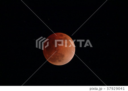 皆既月食 37929041