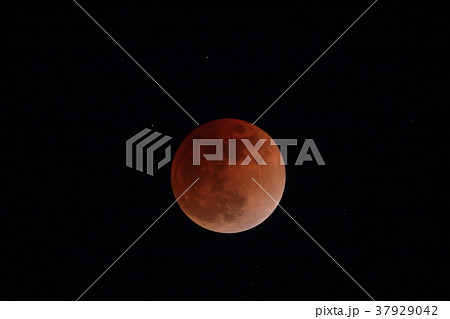 皆既月食 皆既月食 37929042