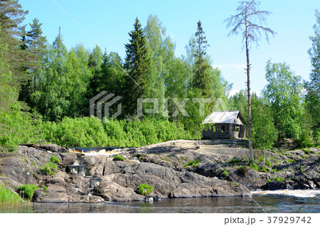 Forest waterfall Forest waterfall 37929742