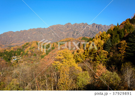 大望峠と西岳 37929891