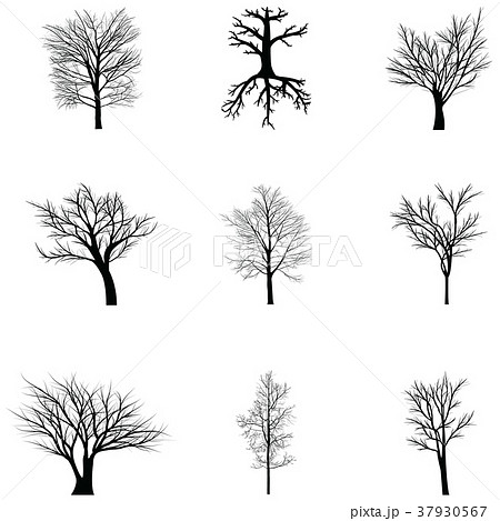 Collection of trees silhouettes Collection of trees silhouettes 37930567