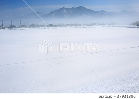冬景色 37931396