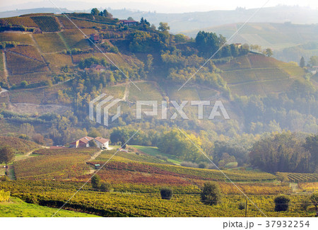 Astigiano, Piedmont, Italy 37932254