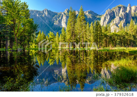 Cathedral Rocks reflecting in Merced River Cathedral Rocks reflecting in Merced River 37932618