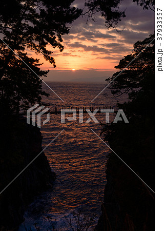 【東伊豆】夜明けを迎える、城ヶ崎つり橋 37933557