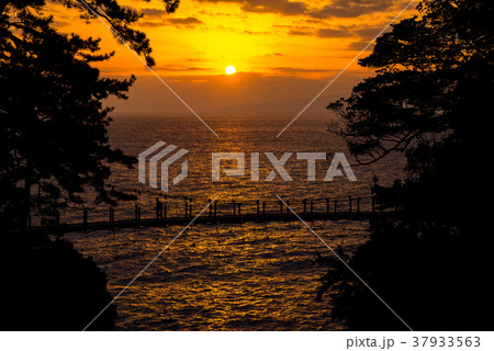 【東伊豆】夜明けを迎える、城ヶ崎つり橋 【東伊豆】夜明けを迎える、城ヶ崎つり橋 37933563