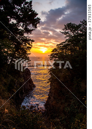 【東伊豆】夜明けを迎える、城ヶ崎つり橋 37933565
