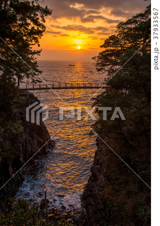 【東伊豆】夜明けを迎える、城ヶ崎つり橋 37933567