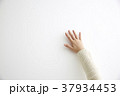 女性の手 37934453