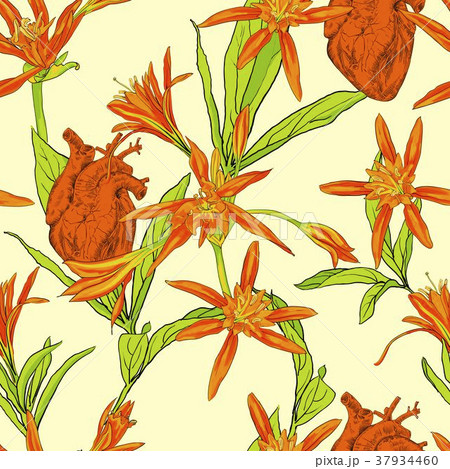 Flowers Lilies Seamless Flowers Lilies Seamless 37934460