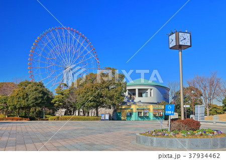 葛西臨海公園の汐風の広場ゾーン 37934462