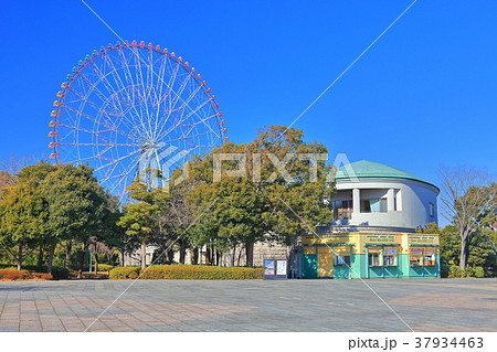 葛西臨海公園の汐風の広場ゾーンの写真素材