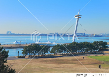 葛西臨海公園の汐風の広場 37934468