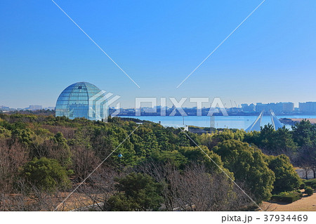 葛西臨海水族園 37934469