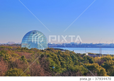葛西臨海水族園 37934470