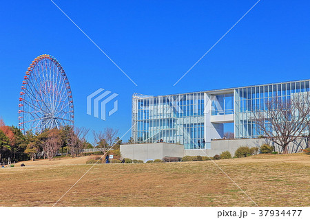 葛西臨海公園の展望レストハウスと観覧車 葛西臨海公園の展望レストハウスと観覧車 37934477