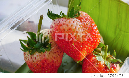 Red strawberry background. Red strawberry background. 37934724
