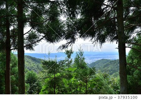 京見峠からみた京都の街 京見峠からみた京都の街 37935100