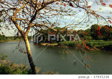 ASIA THAILAND SUKHOTHAI LANDSCAPE RIVER 37935236