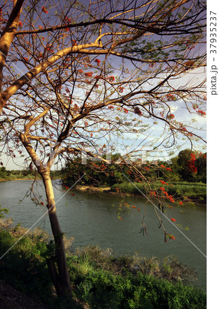 ASIA THAILAND SUKHOTHAI LANDSCAPE RIVER 37935237