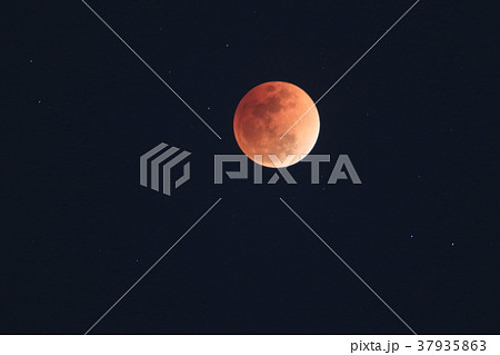 皆既月食 皆既月食 37935863