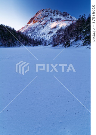 弥陀ヶ池から見る朝焼けの日光白根山山頂 37936010