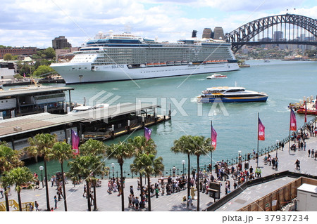 シドニーの港 37937234