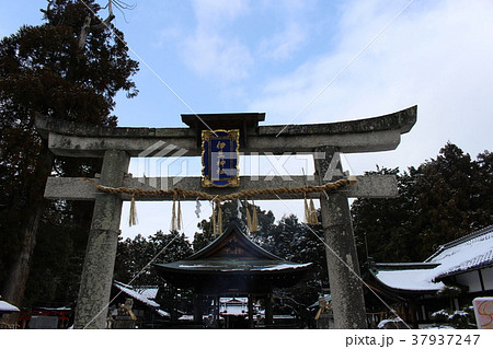 伊豆神社 37937247