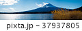 Panorama view of Mt. Fuji at Oishi Park 37937805