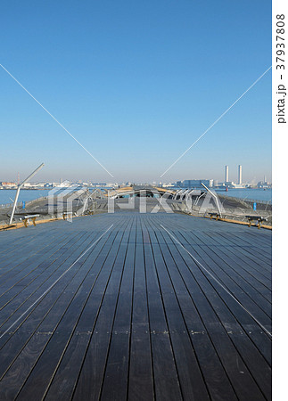 【横浜】大桟橋(大さん橋)国際客船ターミナル コピースペース 【横浜】大桟橋(大さん橋)国際客船ターミナル コピースペース 37937808