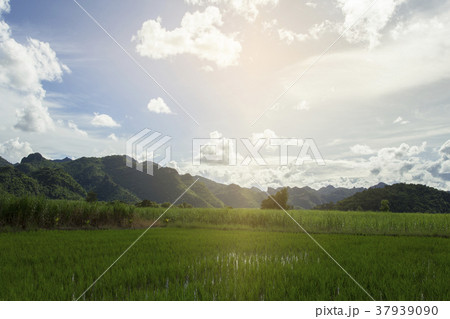 Green mountain landscape and blue sky with warm su Green mountain landscape and blue sky with warm su 37939090