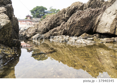忠南 瑞山市 ガンウォルアム 37940345