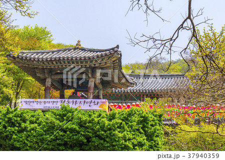 古建築 忠南 瑞山市 37940359