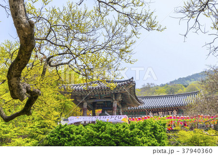 古建築 忠南 瑞山市 37940360