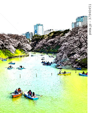 桜 さくら サクラ 37940451