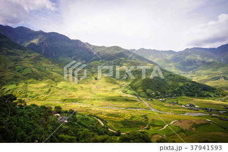 Terraced rice field in Northern, Vietnam Terraced rice field in Northern, Vietnam 37941593