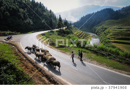 Mountain road in Northern Vietnam Mountain road in Northern Vietnam 37941908