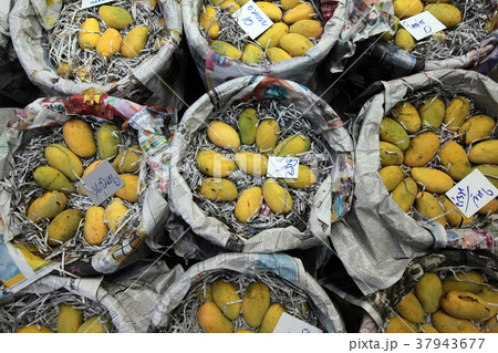 ASIA THAILAND BANGKOK BANGLAPHU PAK KHLONG MARKET ASIA THAILAND BANGKOK BANGLAPHU PAK KHLONG MARKET 37943677